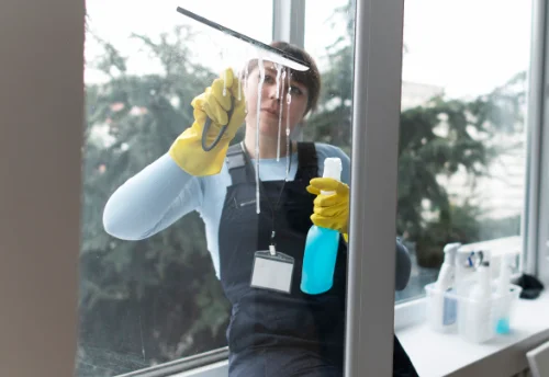Nettoyage de vitres intérieures et extérieures à Théméricourt